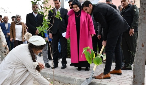 جامعة كركوك تنظم حملة تشجير لحدائق كلية الهندسة