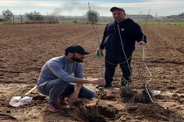 جامعة كركوك تباشر بإنشاء بساتين نموذجية في محطة البحوث والتجارب الزراعية