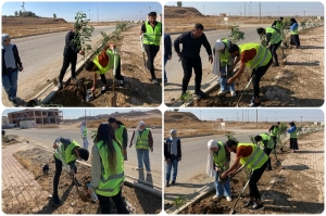 انطلاقا من مشروع زراعة مليون شجرة .. جامعة كركوك تستمر بحملة تشجير اروقتها وباحاتها بأشجار متنوعة